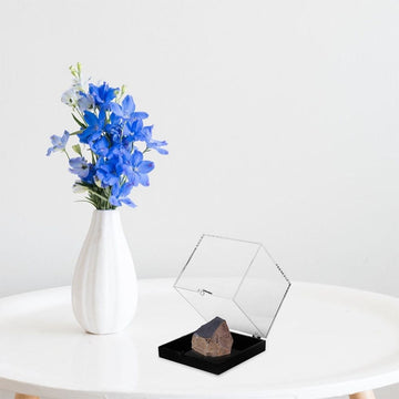Durable Clear Rock Collection Box for Mineral Specimens and Stones