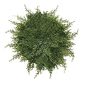 Faux cedar placemats with greenery design, 15-inch round holiday-themed table decor for festive gatherings and tabletop protection.