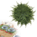 Faux cedar round placemats with greenery design, ideal for holiday tables and protecting surfaces during festive gatherings.
