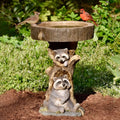 Resin raccoon birdbath for garden, antique style, decorative polyresin outdoor bird bath in a home garden setting