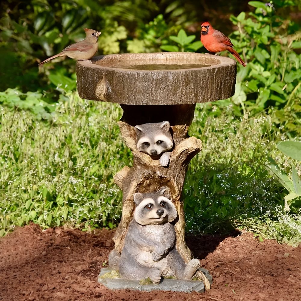 Resin raccoon birdbath for garden, antique style, decorative polyresin outdoor bird bath in a home garden setting