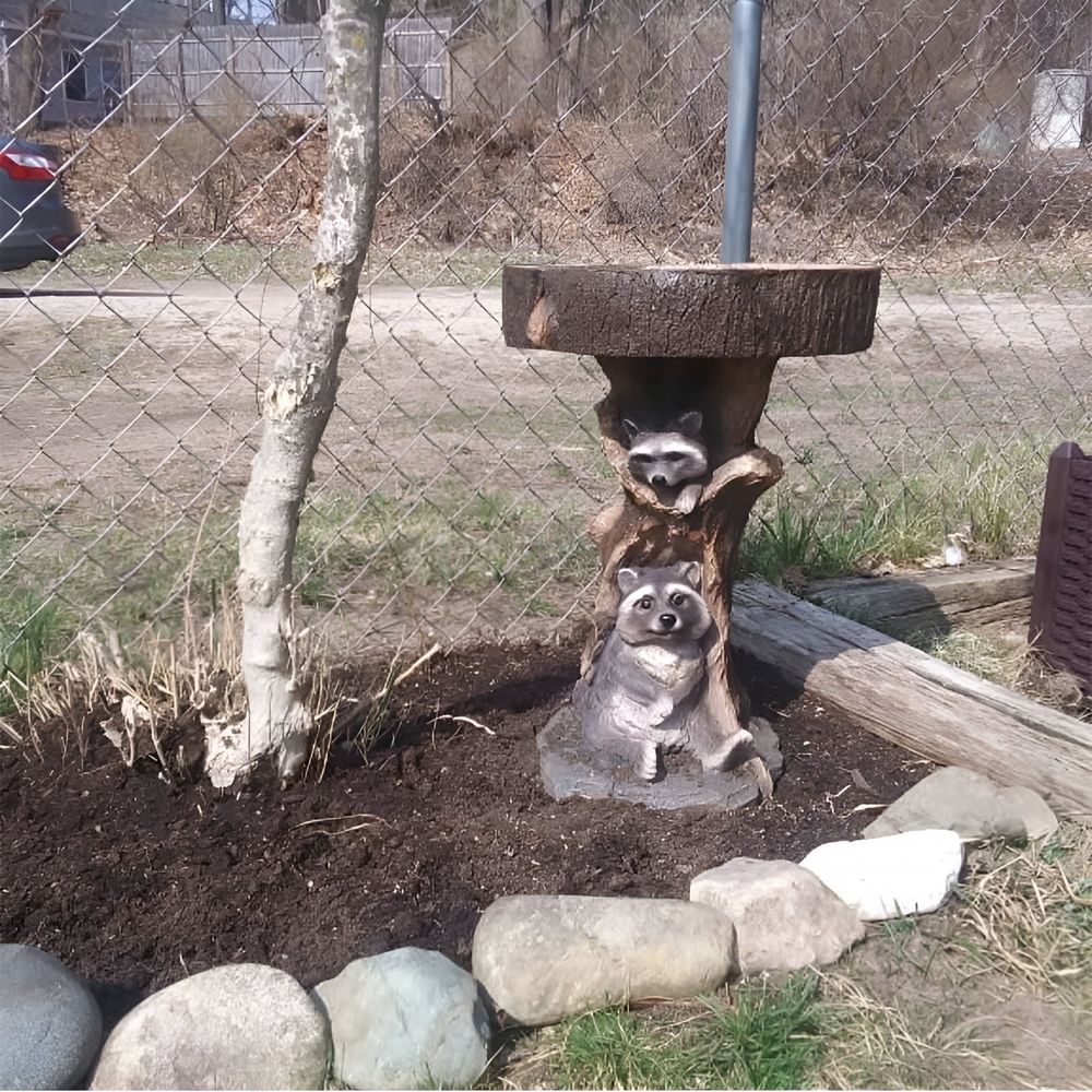 Resin raccoon-shaped birdbath for garden, antique style, outdoor garden decor, made of polyresin, suitable for home yard.
