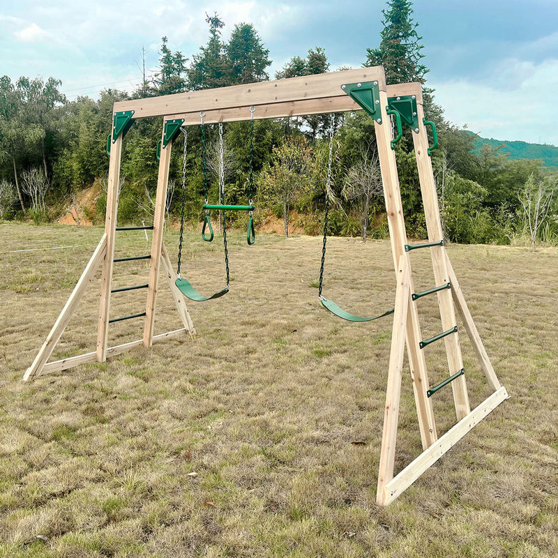 Lifespan Kids Daintree 2-in-1 Monkey Bars & Swing Set