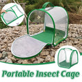 Transparent foldable insect cage by Everything Baby, perfect for outdoor bug collecting and kids' outdoor play.