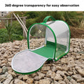 Transparent foldable insect cage by Everything Baby for outdoor bug collecting, suitable for kids and outdoor play activities.
