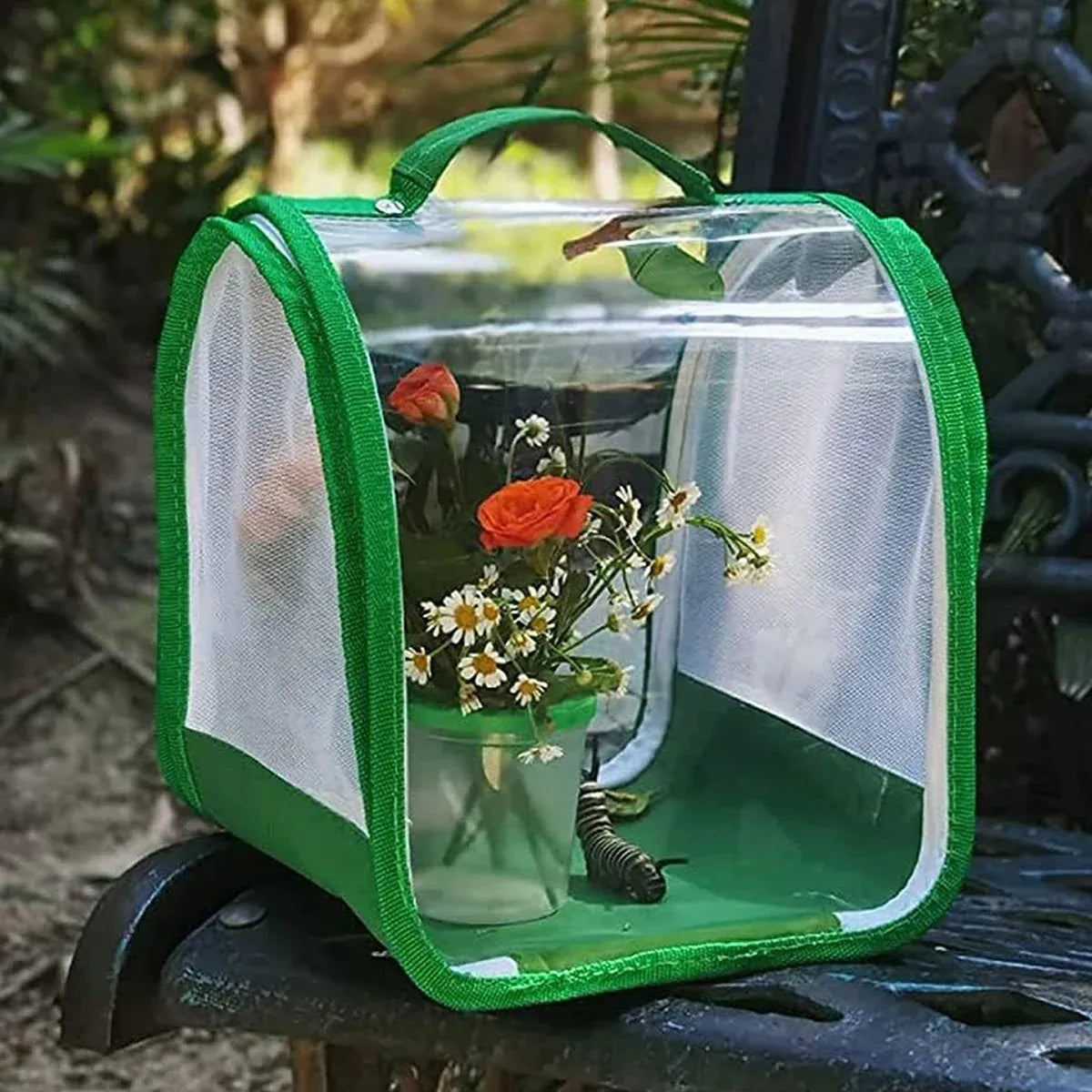 Transparent foldable insect cage for outdoor bug collecting, made by Everything Baby, suitable for kids' outdoor play and exploration.