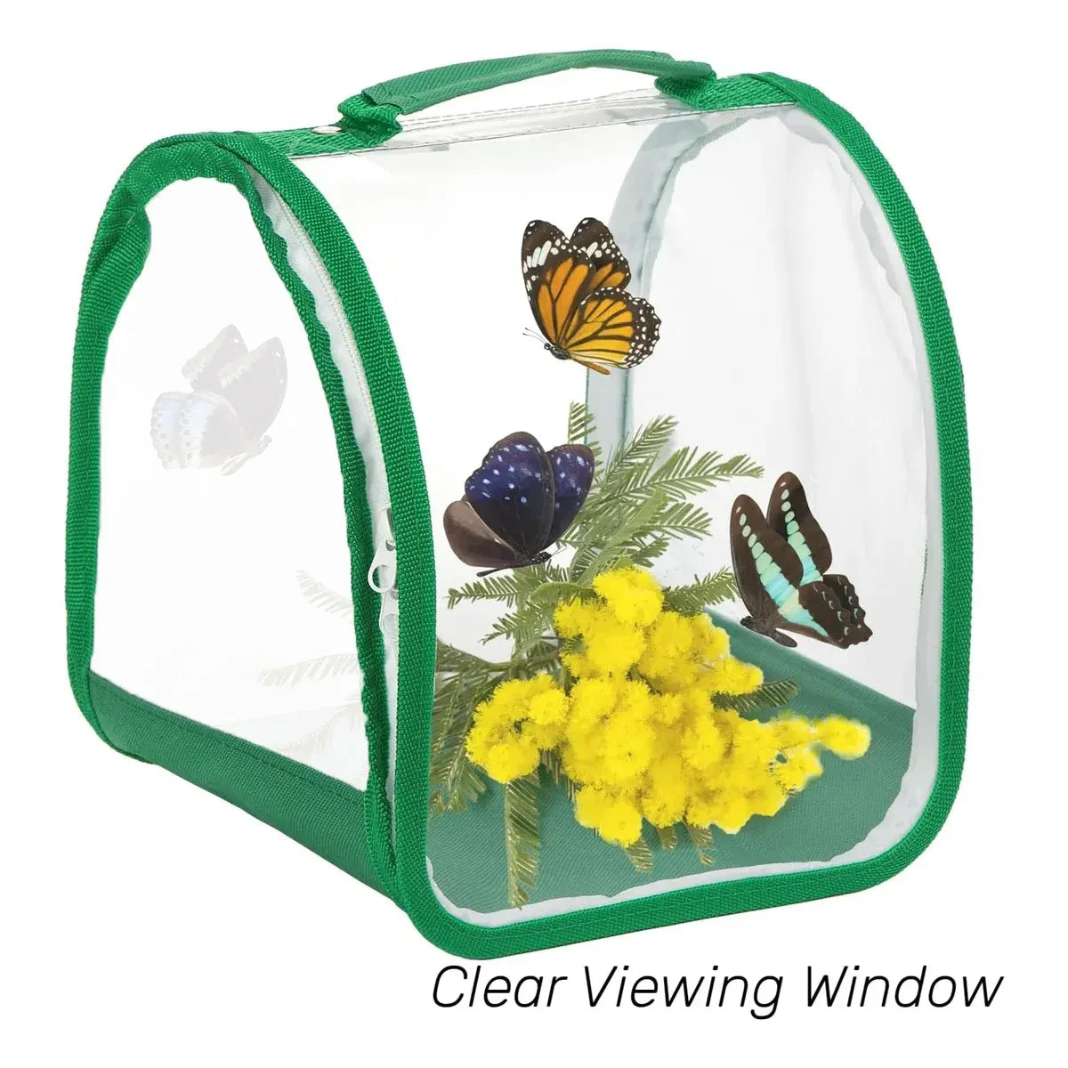 Transparent foldable insect cage by Everything Baby for outdoor bug collecting, suitable for kids' outdoor play and exploration.