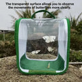 Transparent foldable insect cage by Everything Baby, ideal for outdoor bug collecting for kids and outdoor play.