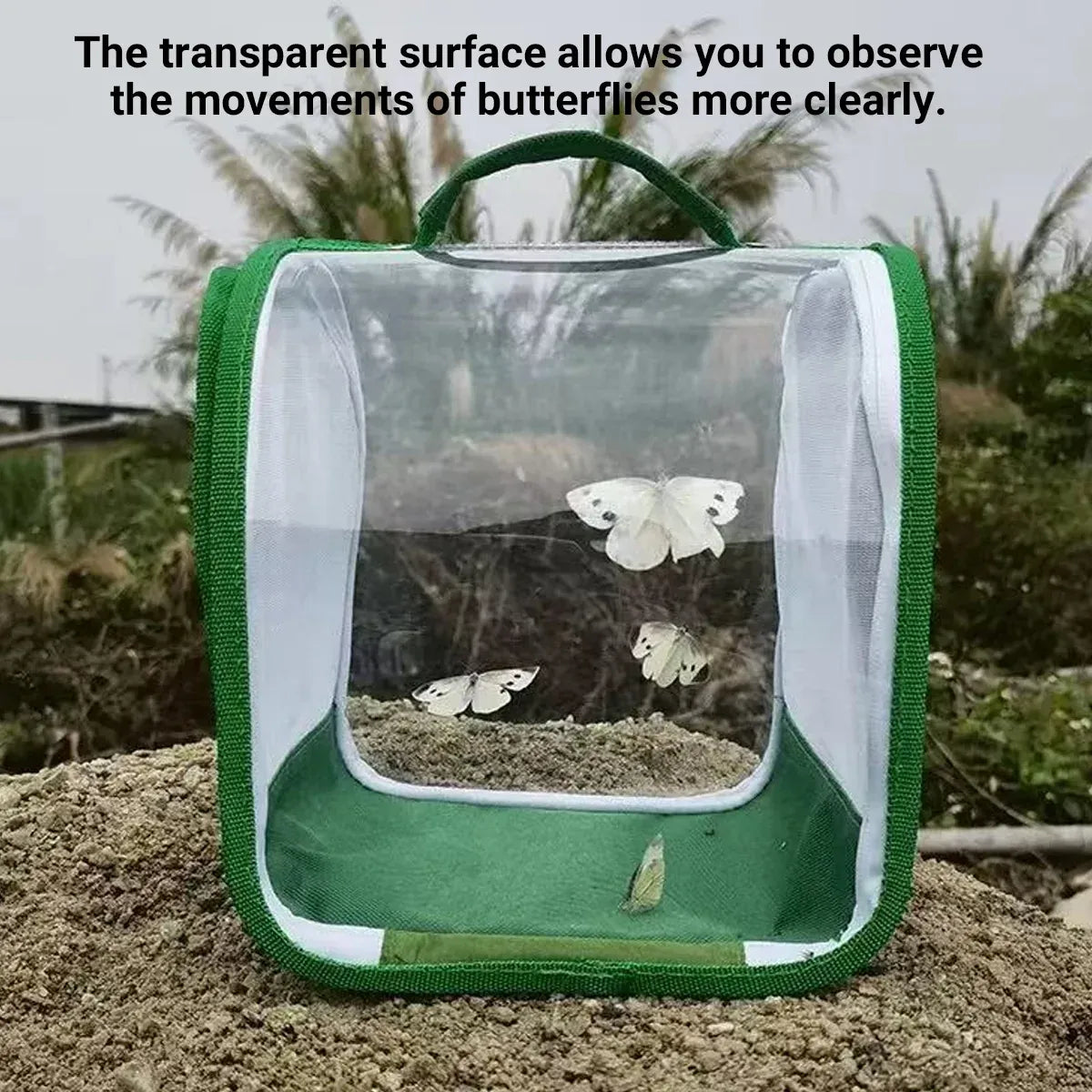 Transparent foldable insect cage by Everything Baby, ideal for outdoor bug collecting for kids and outdoor play.
