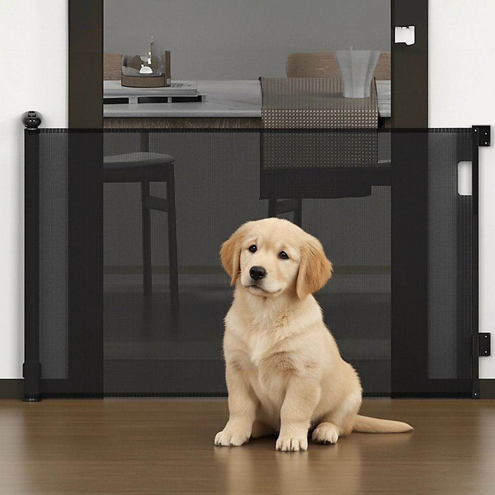 Retractable baby safety fence and pet stair gate barrier by Everything Baby, adjustable 3-meter safety gate for kids, dogs, and cats.