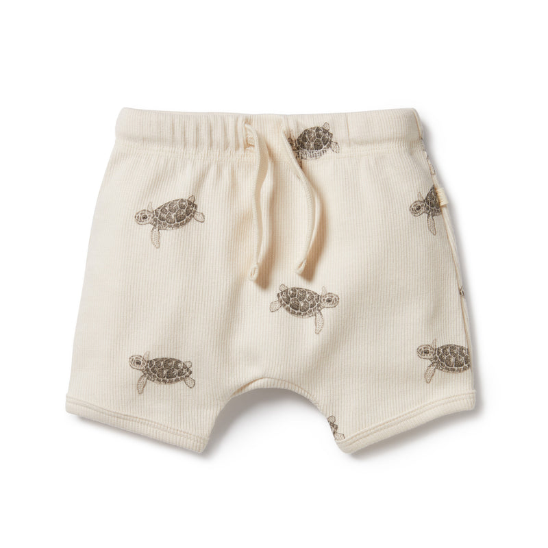 Wilson & Frenchy Tie Front Shorts - Tiny Turtle