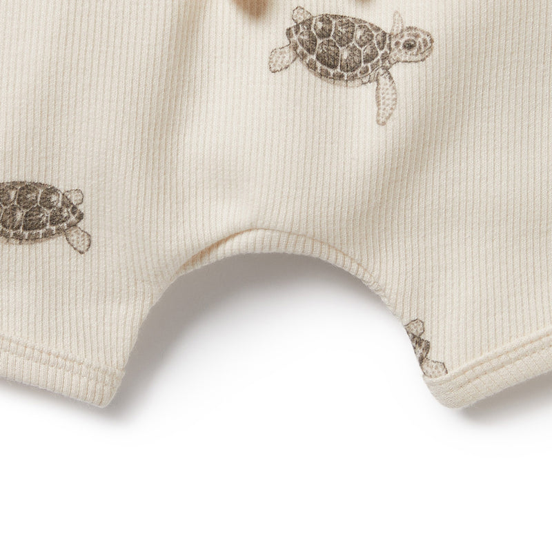 Wilson & Frenchy Tie Front Shorts - Tiny Turtle