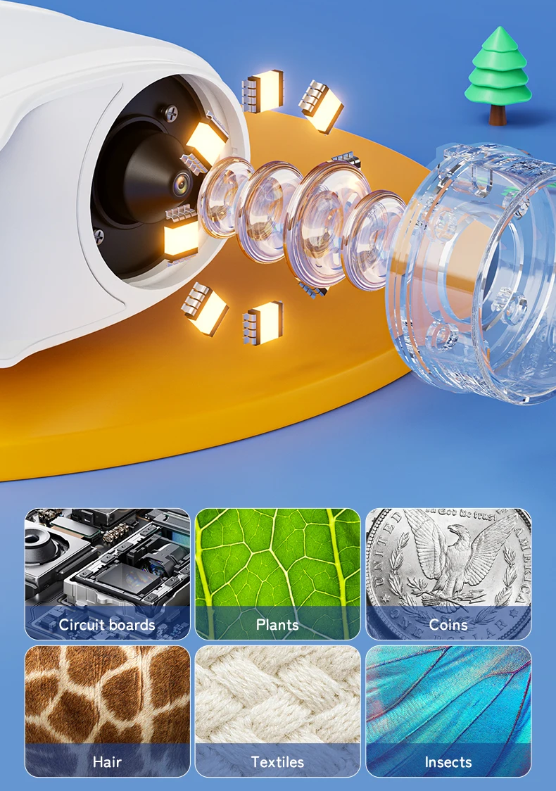 Turn everyday objects into fascinating discoveries.