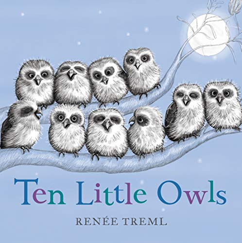 Ten Little Owls Book