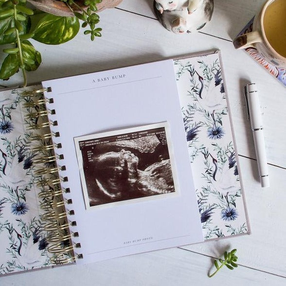 Write To Me Bump My Pregnancy Journal Boxed - Light Grey