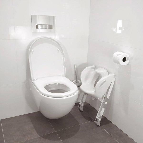 Ultimate Toilet Trainer